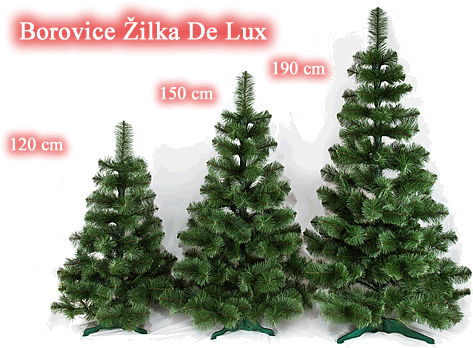 Vánoční stromky Borovice - jako živé
